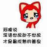 宠物小知识体系